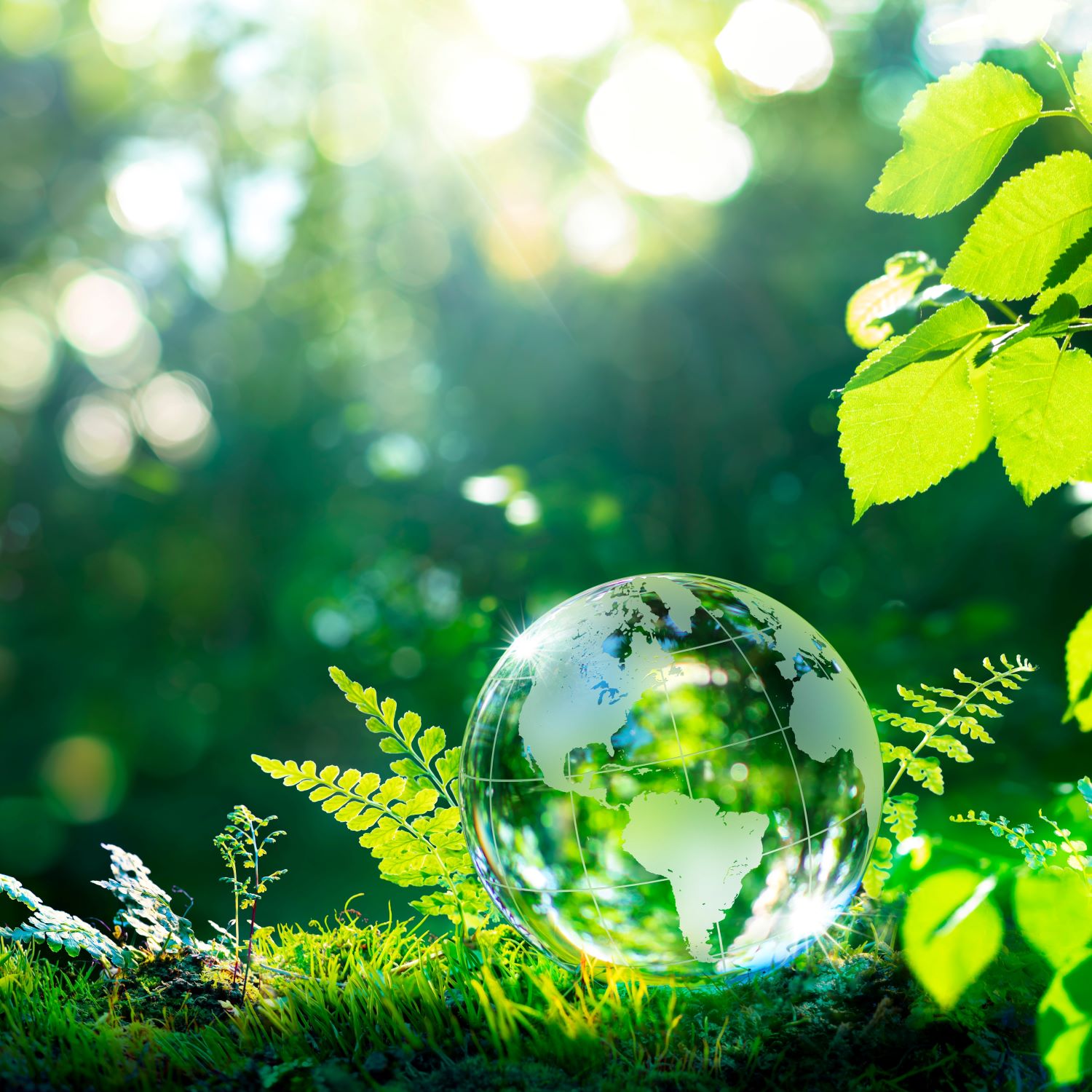 world environment day