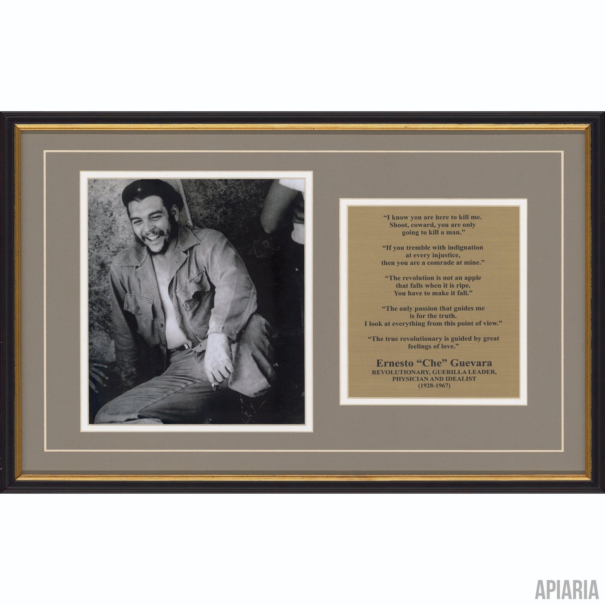 Che Guevara Commemorative-Framed Item-Apiaria