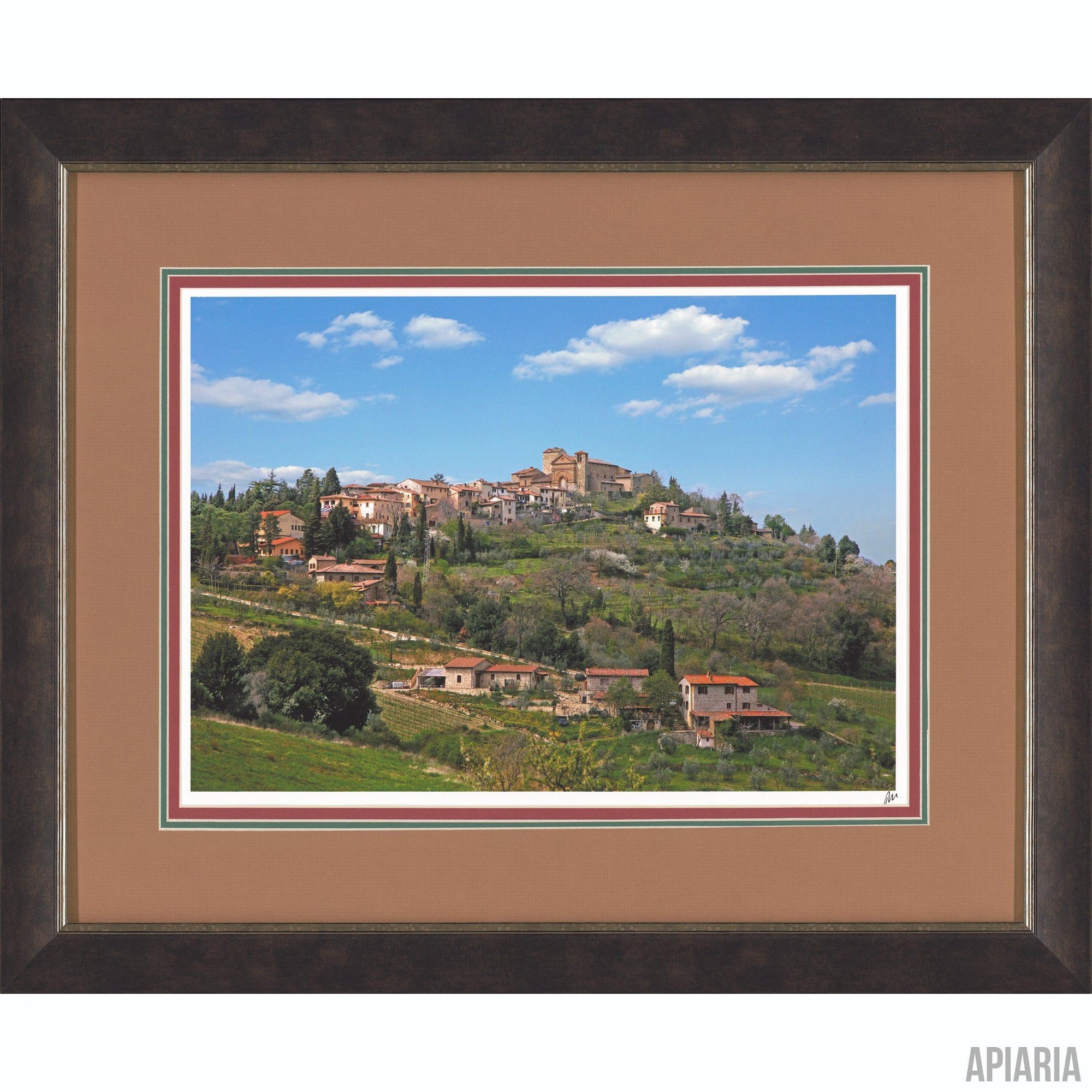 Igor Maloratsky "Tuscan Panorama"-Framed Art-Apiaria