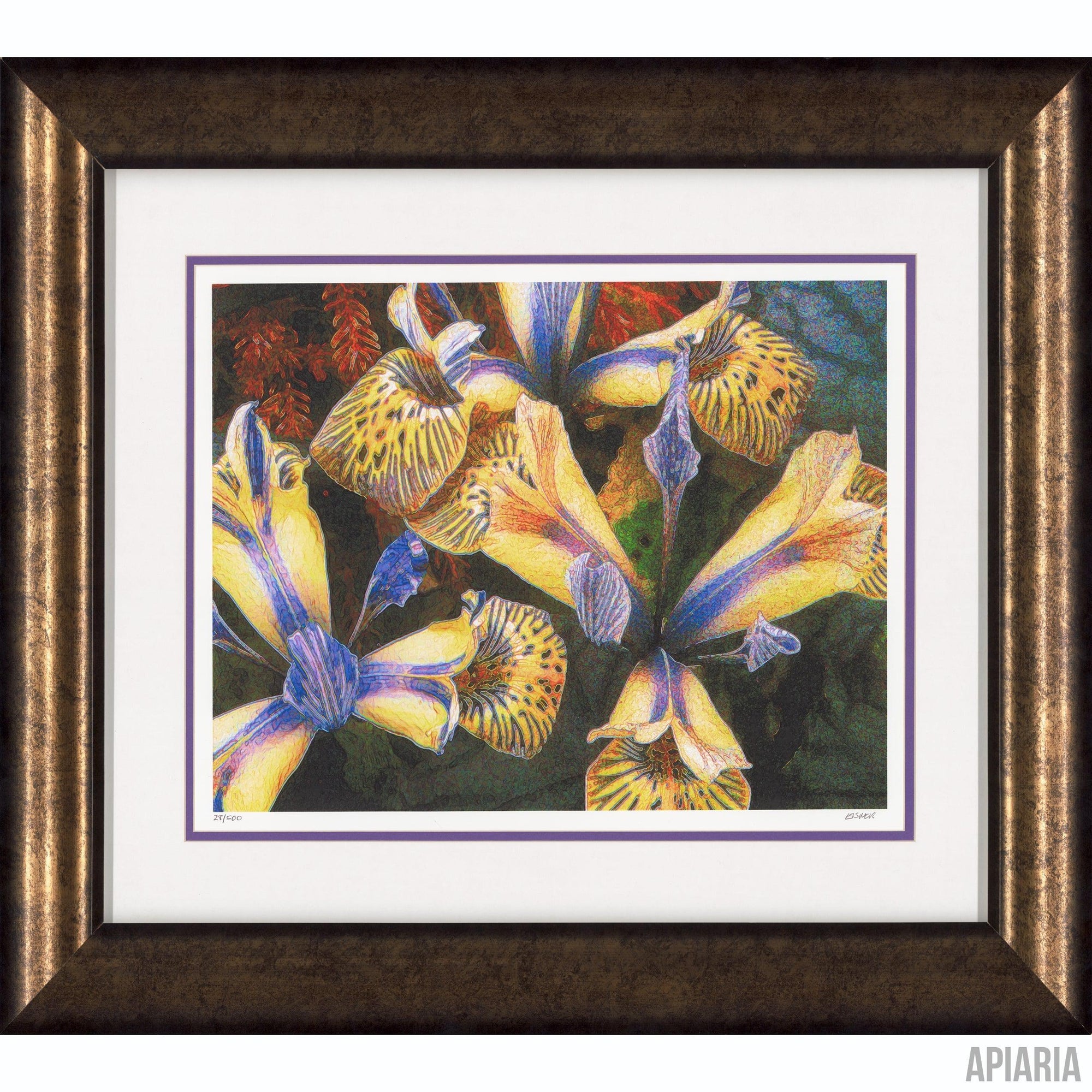 Murray Eisner "Iris #3"-Framed Art-Apiaria