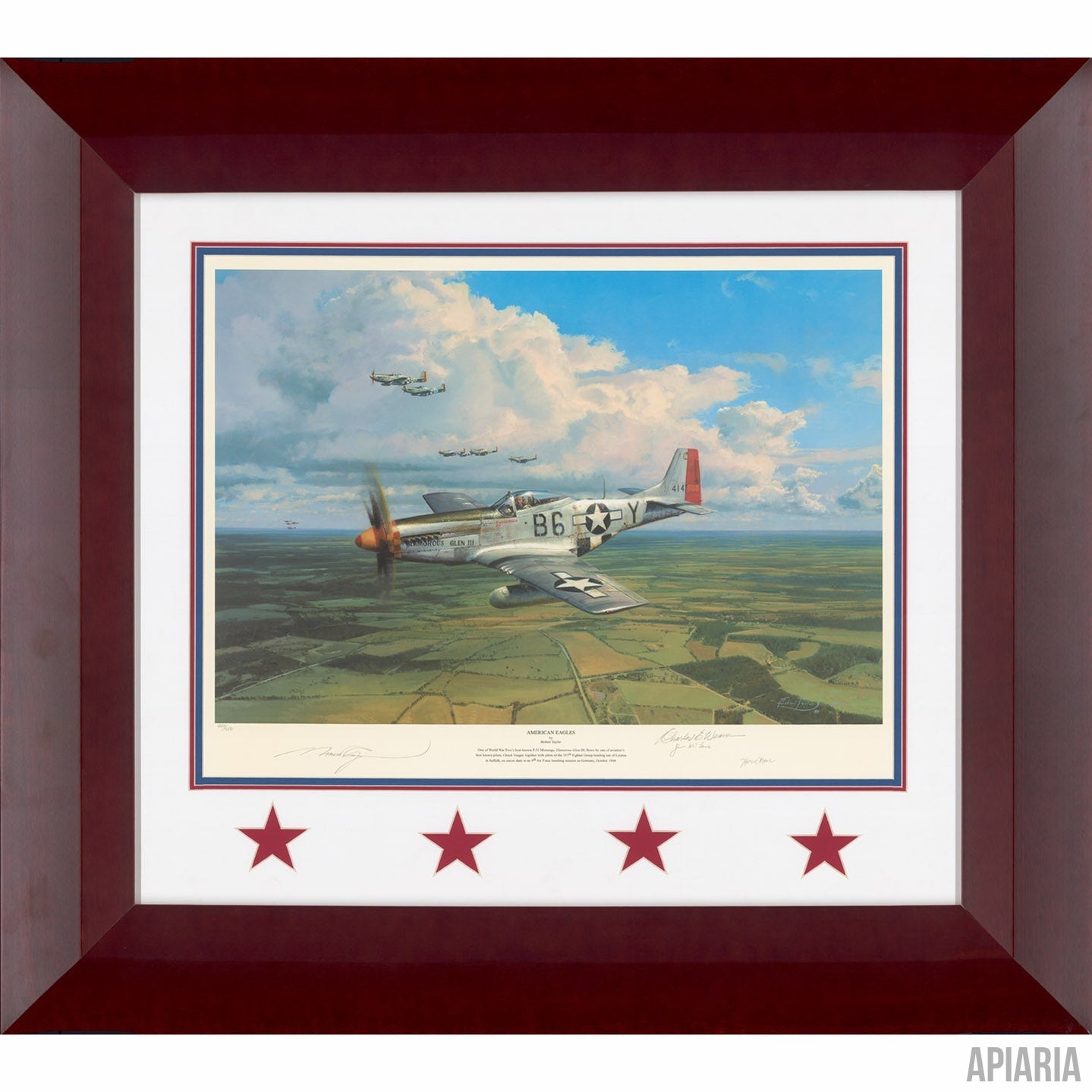 Robert Taylor "American Eagles" Signed Edition-Framed Art-Apiaria