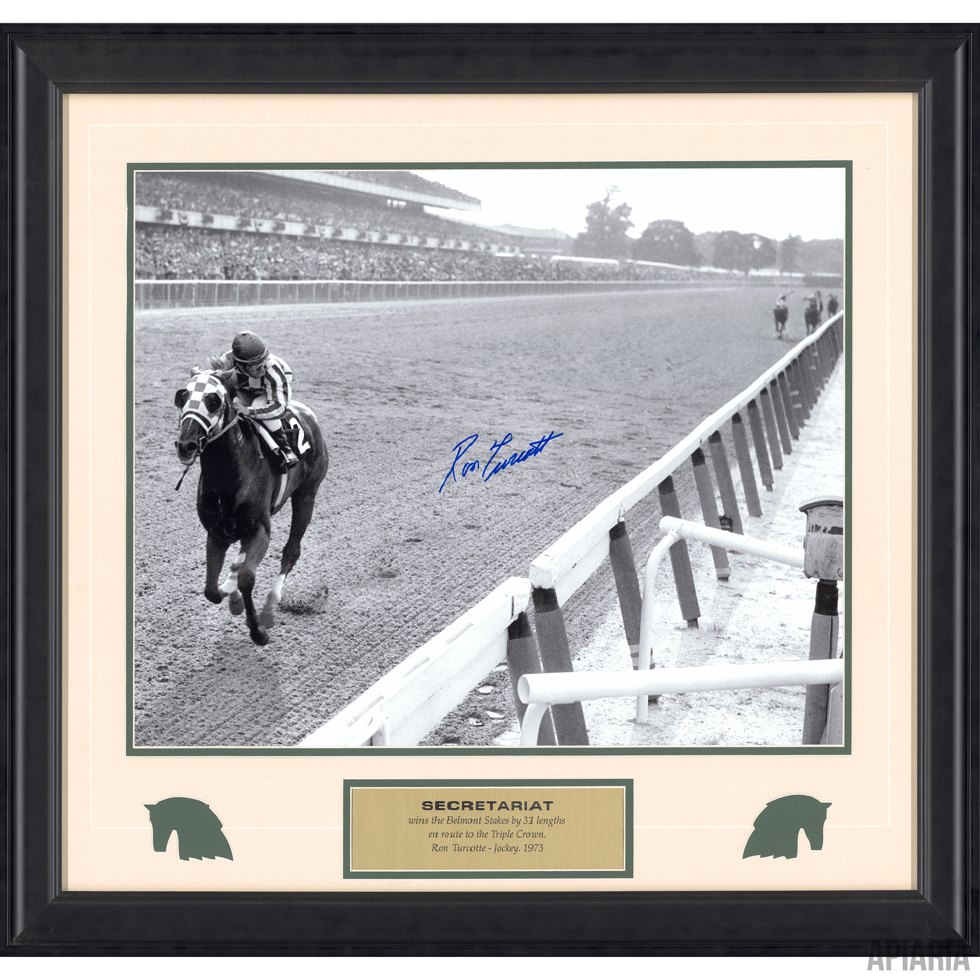 Secretariat: autographed by Hall of Fame jockey Ron Turcotte-Apiaria