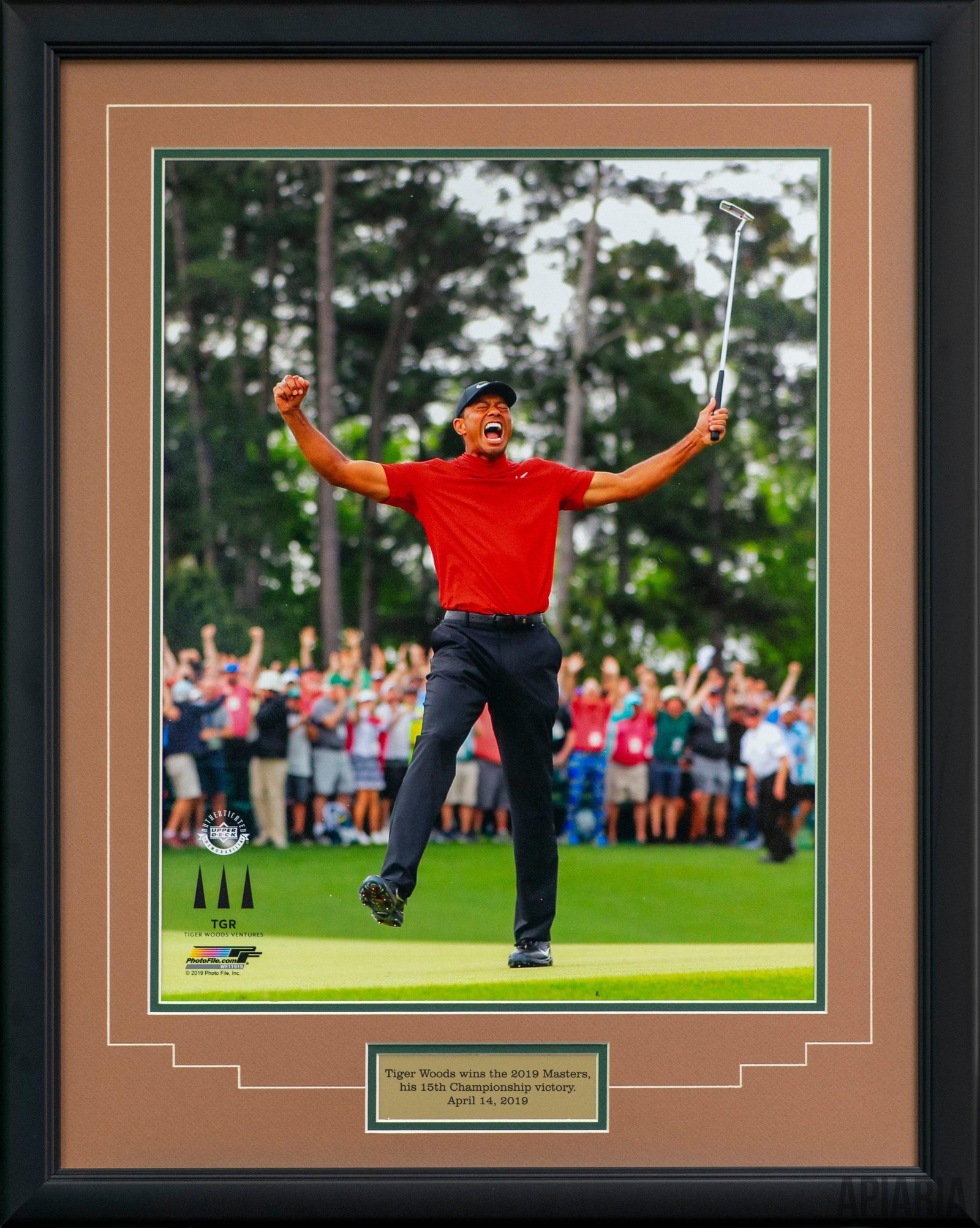Tiger Woods Wins The 2019 Masters-Framed Item-Apiaria