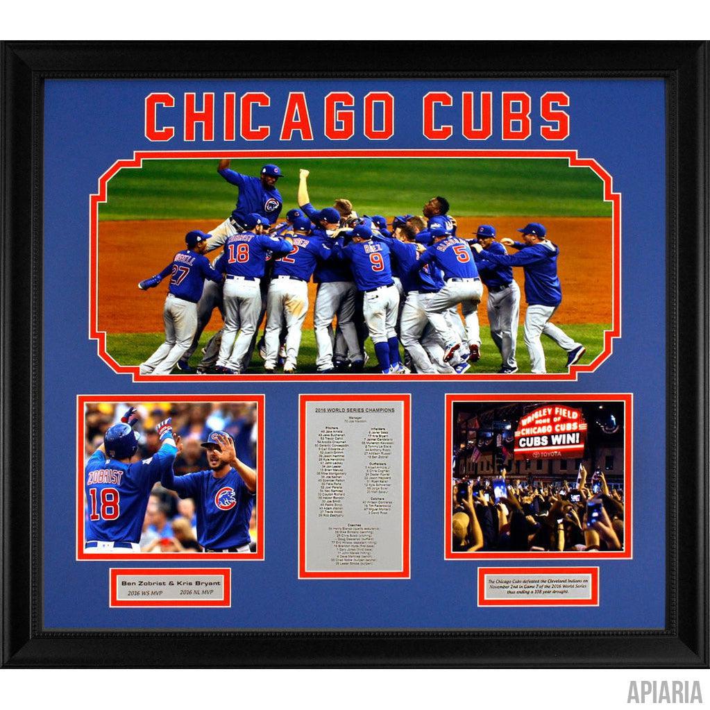 Chicago Cubs 2016 World Series Championship Commemorative - Apiaria