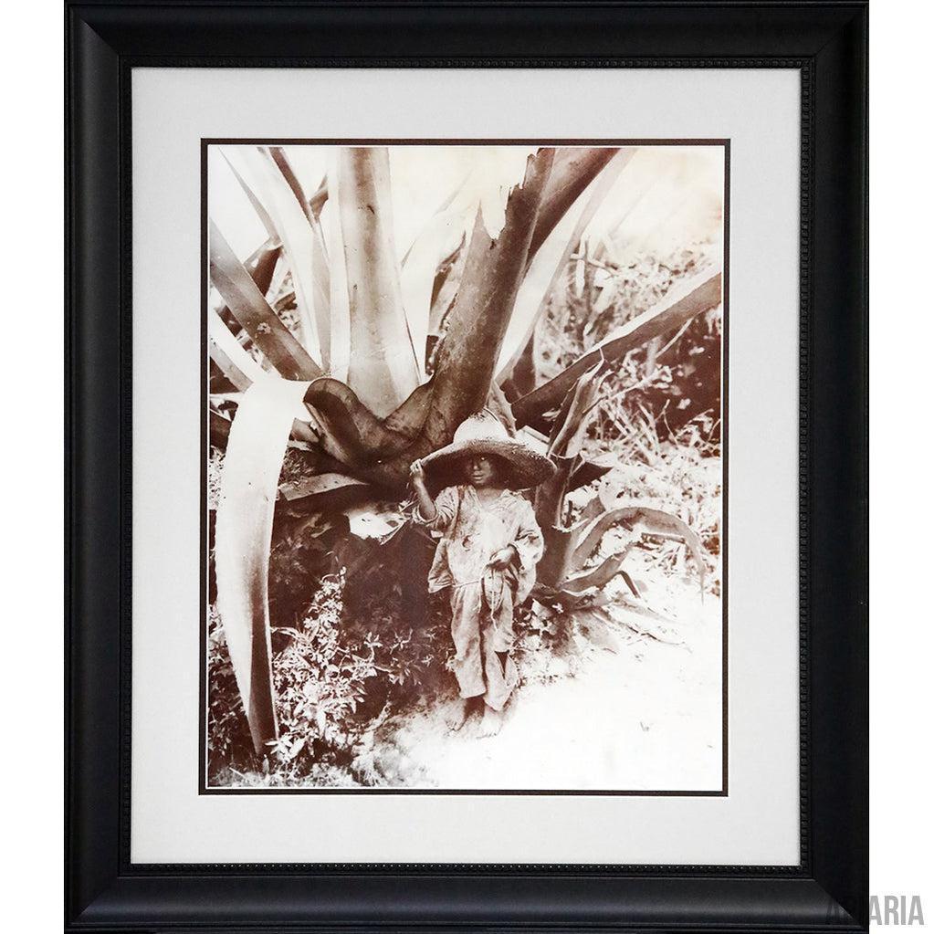 Child of the Agave-Framed Item-Apiaria