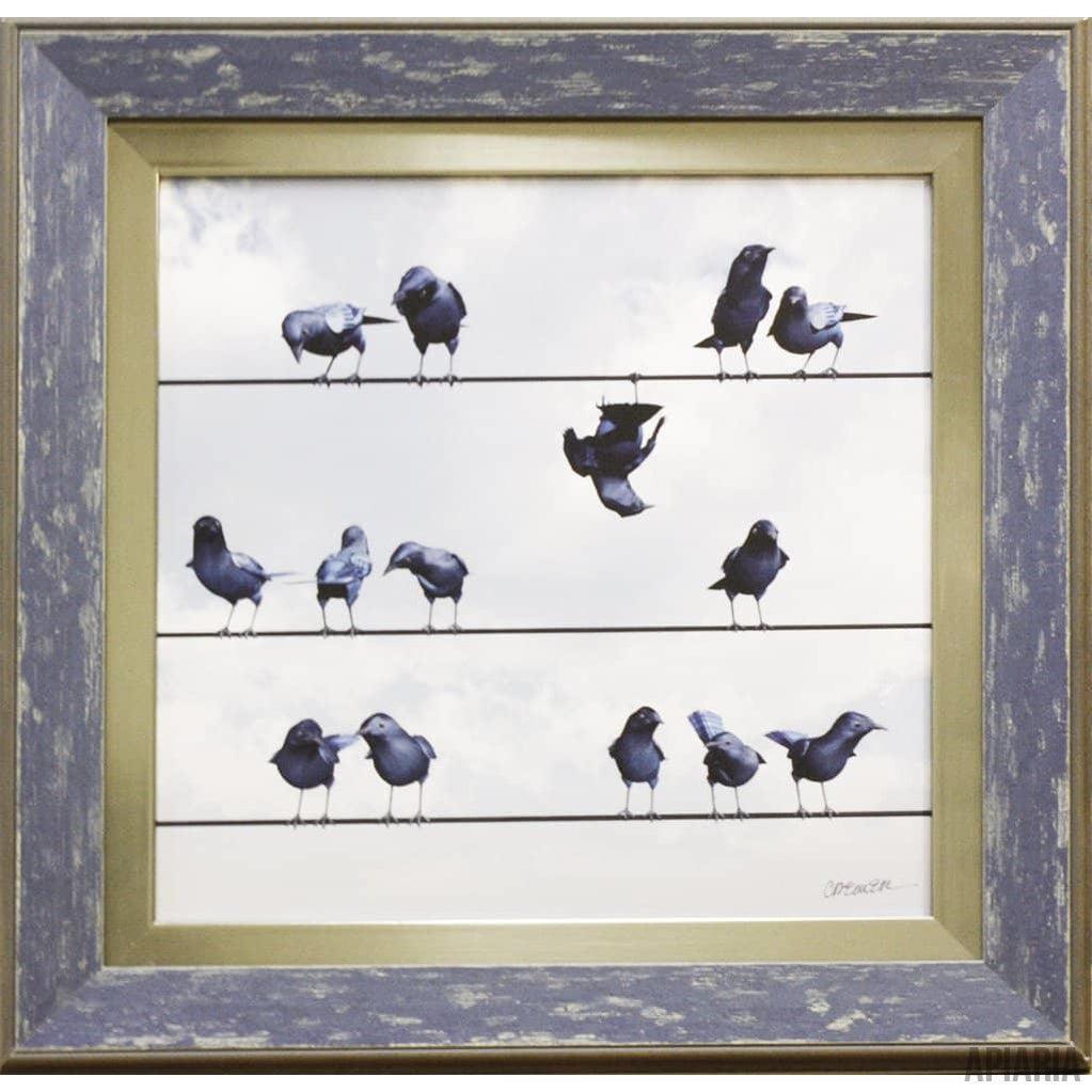 Cynthia Decker "Show Off"-Framed Art-Apiaria