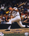 Detroit Tigers Greats: George Kell, Mickey Lolich, Al Kaline Autographed-Framed Item-Apiaria