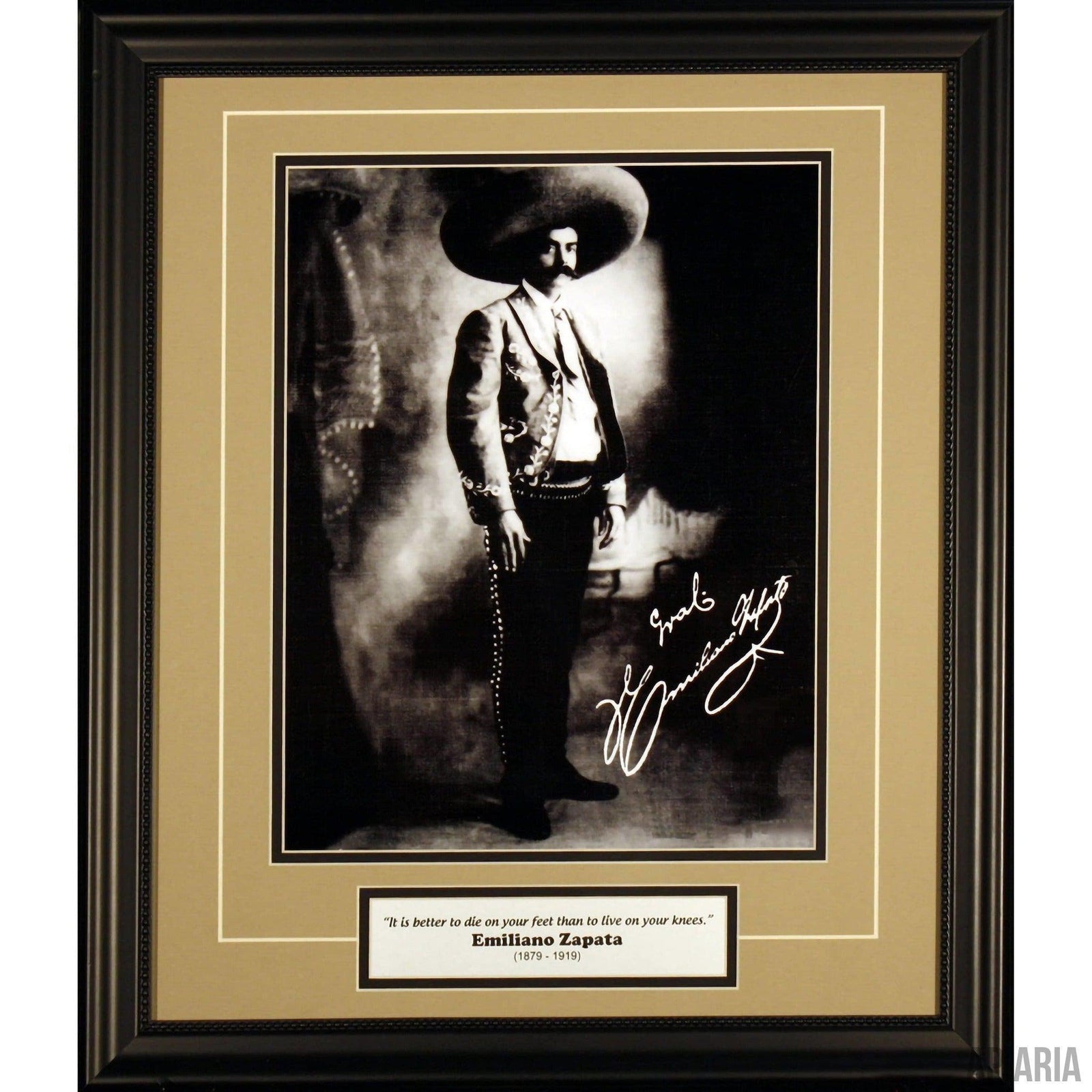 Emiliano Zapata-Framed Item-Apiaria