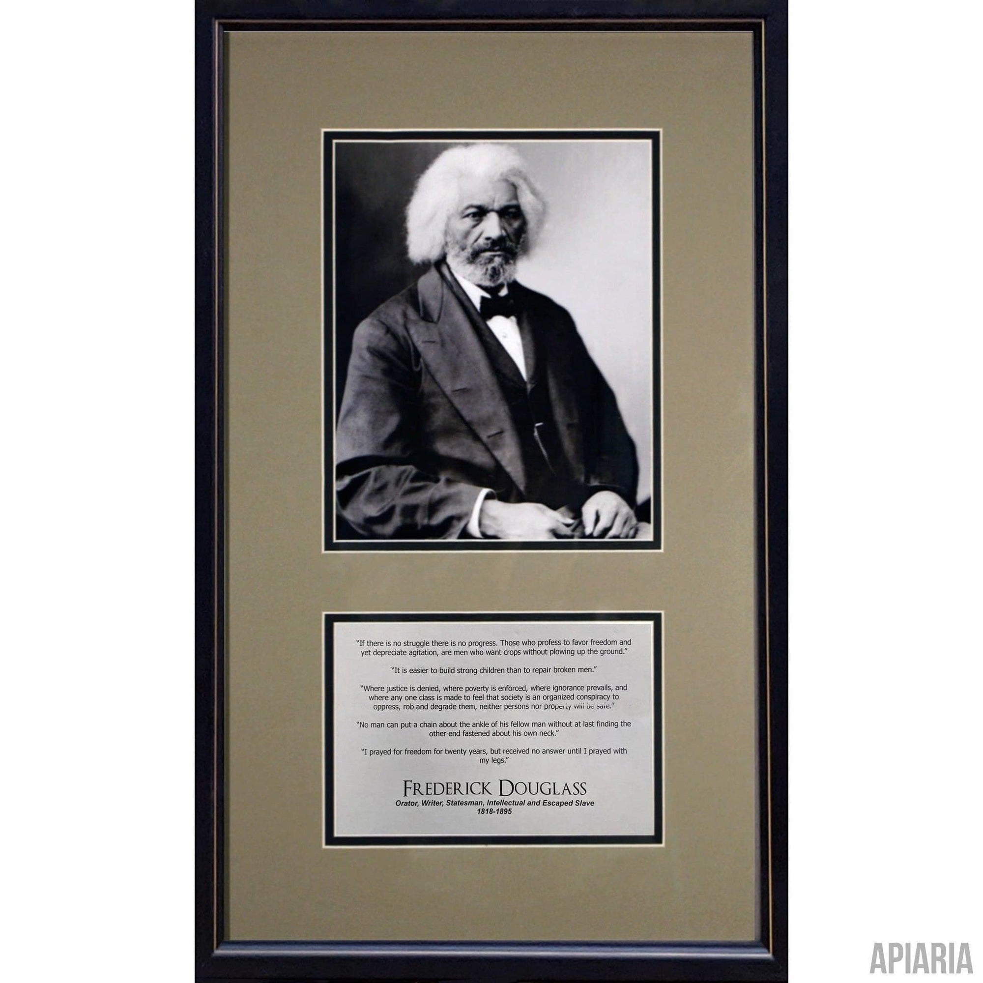 Frederick Douglass Commemorative-Framed Item-Apiaria