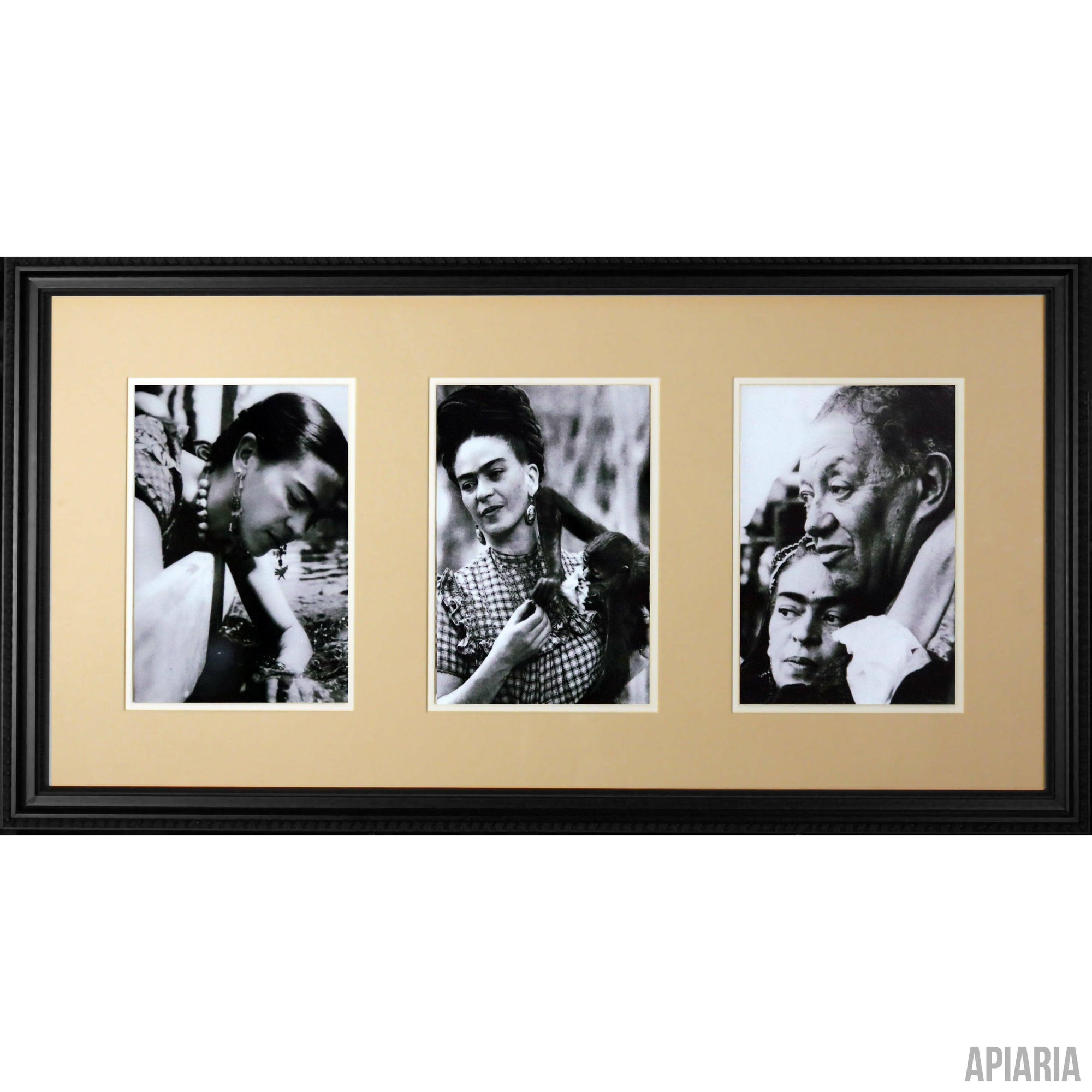 Frida Kahlo-Framed Item-Apiaria