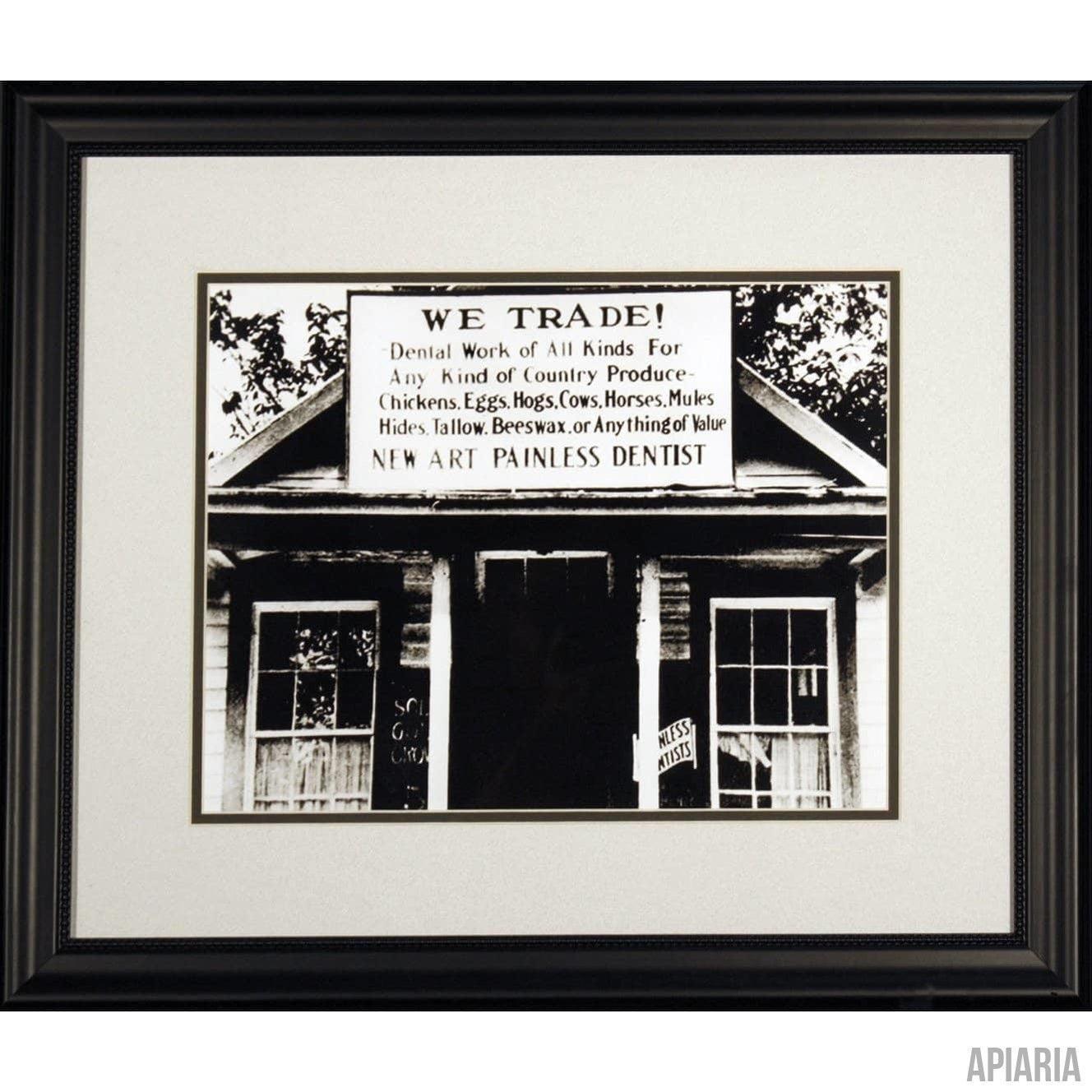 Great Depression Dentist-Framed Item-Apiaria