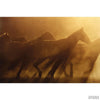 Heidi Padveen "Mustangs In The Dust"-Framed Art-Apiaria