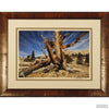 Jim Cunningham "Bristlecone, White Mountains"-Framed Art-Apiaria