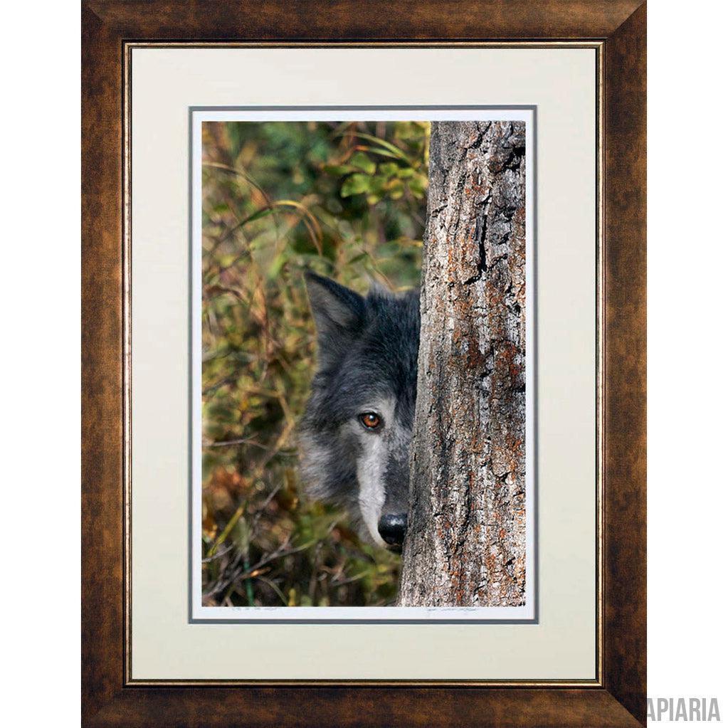 Jim Cunningham "Eye Of the Wolf"-Framed Art-Apiaria