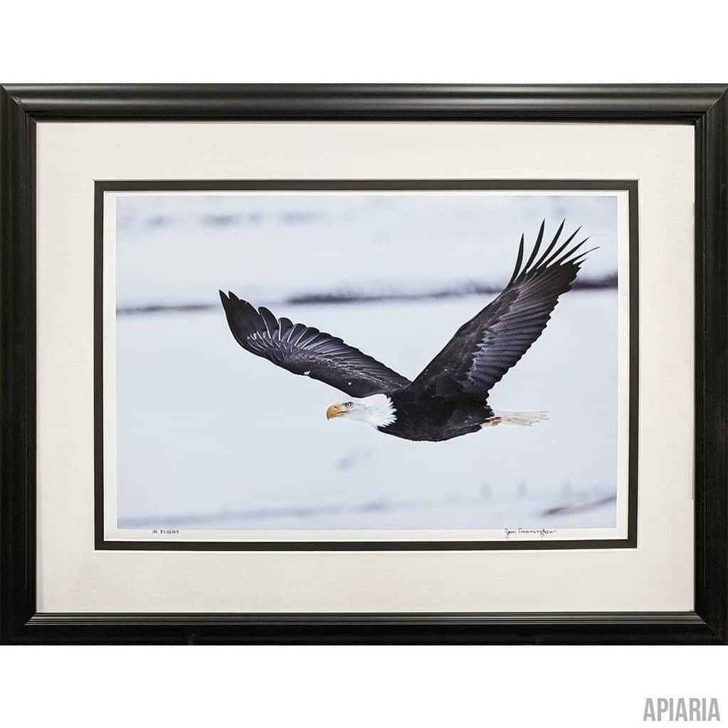 Jim Cunningham "In Flight"-Framed Art-Apiaria