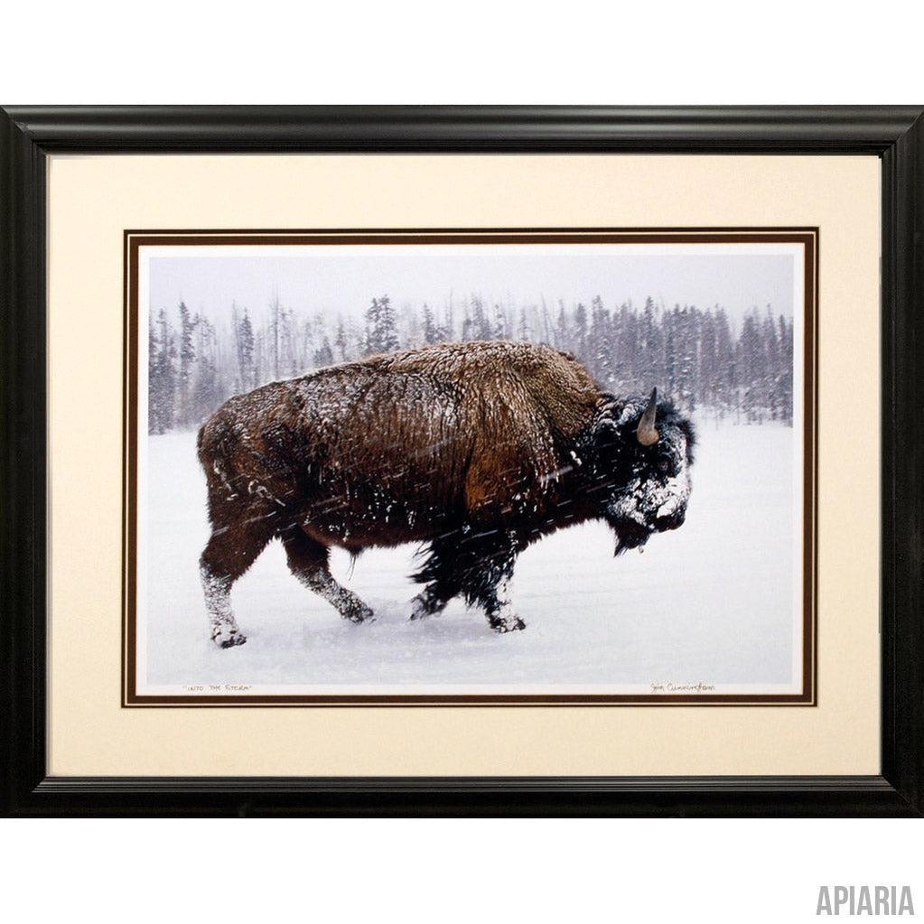 Jim Cunningham "Into the Storm"-Framed Art-Apiaria