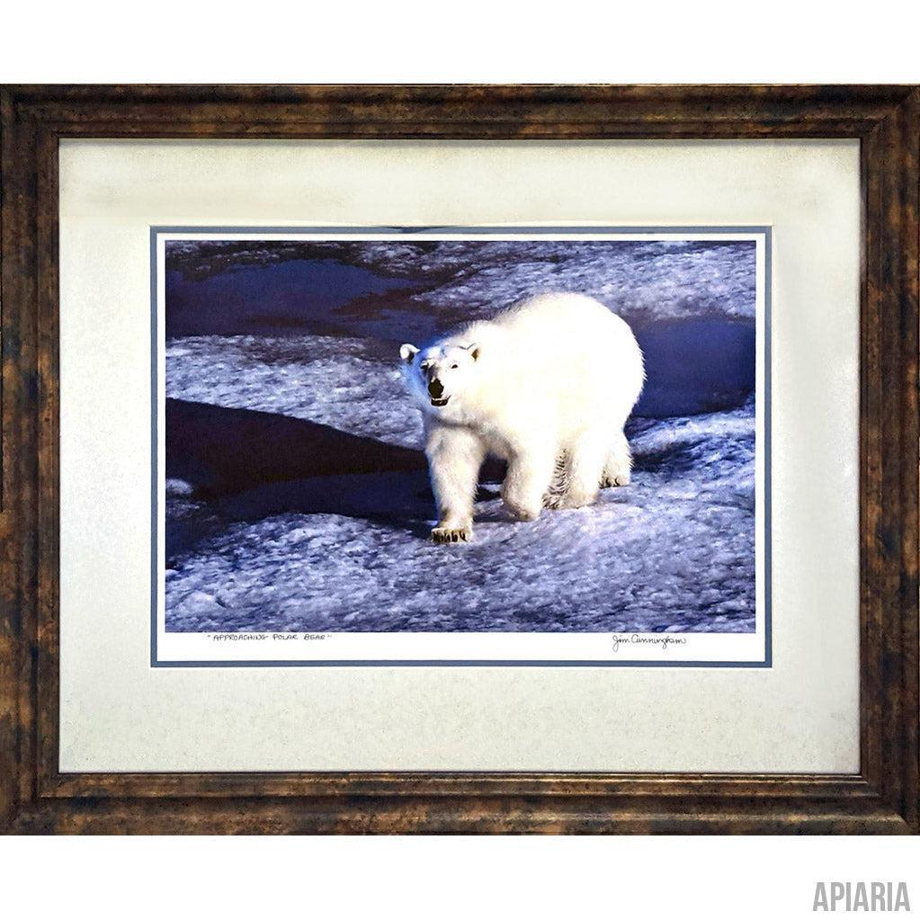Jim Cunningham "Polar Bear"-Framed Art-Apiaria