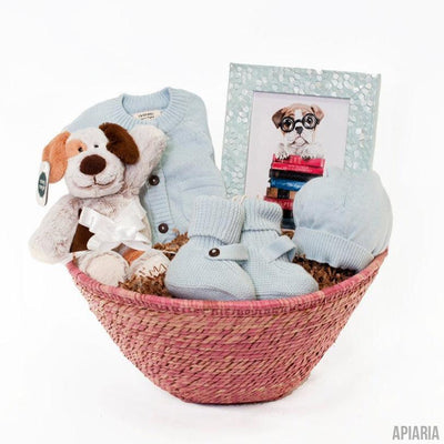 New Baby Gift Basket, Puppy Dog Theme-Gifts-Apiaria