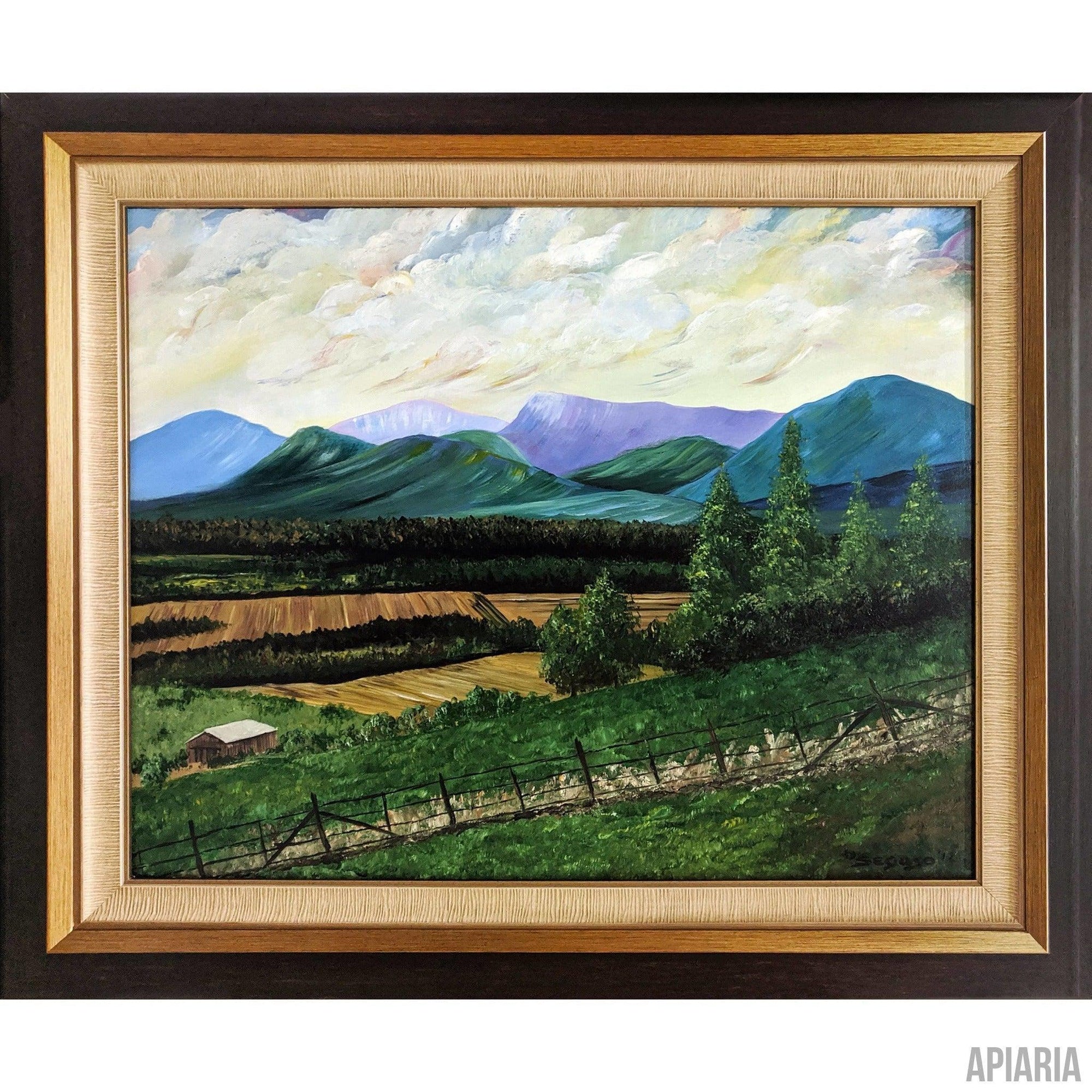 Rick Seguso Original "Fields Before The Mountains"-Framed Art-Apiaria