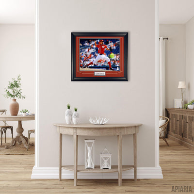 Stephen Strasburg Autographed Photo-Framed Item-Apiaria