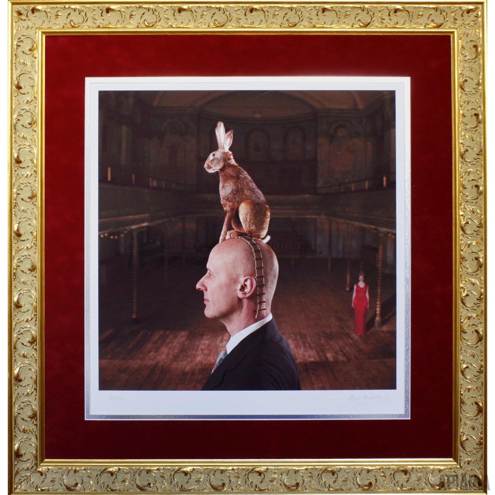 Storm Thorgerson "Let Your Hare Down"-Framed Art-Apiaria