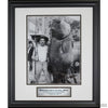 World's Record Black Sea Bass-Framed Item-Apiaria